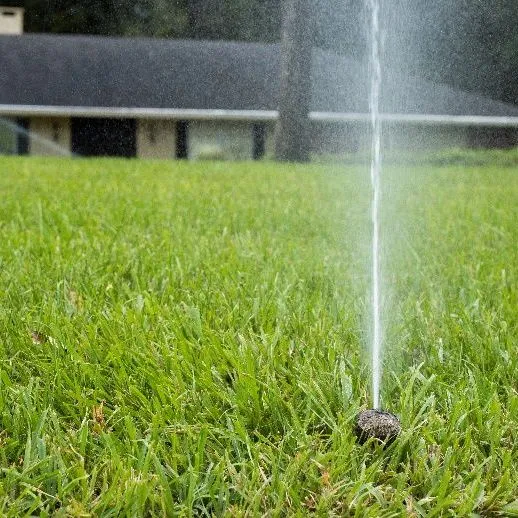 thumbnail for publication: How much water am I using to irrigate my yard?